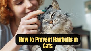 quotHow to Prevent Hairballs in Cats  Tips for a Happier Healthier Catquot [upl. by Kisung]