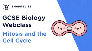 GCSE Biology Mitosis and the Cell Cycle  Revision Webclass [upl. by Yerffej440]