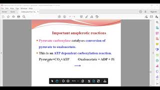 amphibolic nature of tca [upl. by Ytisahc]