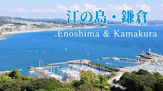 江の島・鎌倉 2024年10月12日 4K Enoshima amp Kamakura 江の島 enoshima 鎌倉 kamakura 湘南 shonan 江島神社 鶴岡八幡宮 [upl. by Billen106]