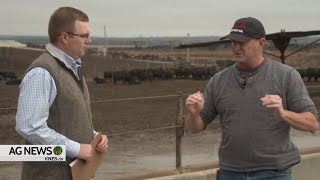 THIS is why the US Heifer Retention Remains Low  Insights from Feedlot Owner [upl. by Callean303]