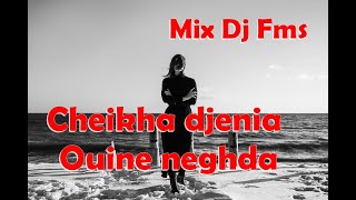 Cheikha djenia Mix Ouine neghda Dj Fms [upl. by Dafodil996]