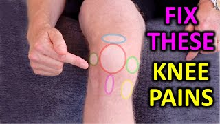 5 Essential Knee Pain Relief Exercises [upl. by Nothgierc]