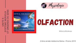 Olfaction Physiologie [upl. by Winston]