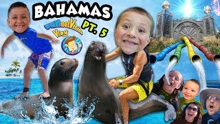 Playing with SEA LIONS  POWER TOWER WATER SLIDES FUNnel Family LEAVES Bahamas ◕︵◕ Trip Part [upl. by Meris398]