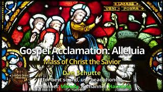 Gospel Acclamation Alleluia Mass of Christ the Savior Dan Schutte [upl. by Bremser]