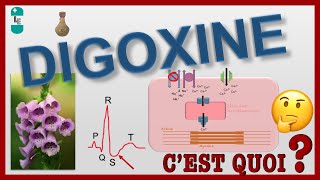 La Digoxine et sa toxicité antiarythmiques partie 2 [upl. by Henrik890]