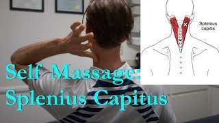 Self Massage Splenius Capitus back of neck [upl. by Nosittam]