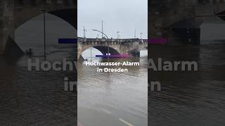 HOCHWASSERALARM in Dresden [upl. by Juni]