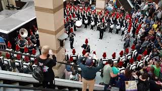 Escuela Militar de Chile en Alto las Condes Flashmob [upl. by Aihsemat571]