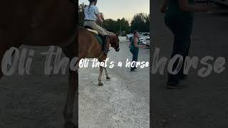 Oli that’s a horse horse idontknowwhattoputhere rideforrosie equestrian horseriding [upl. by Aremus446]