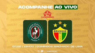 CONCÓRDIA X BRUSQUE  CAMPEONATO CATARINENSE 2024 [upl. by Shaughnessy468]