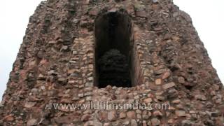 The incomplete Alai Minar near Qutub Minar [upl. by Avlasor]