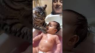 🥰😍 cat bathtime cute afterbath baby bathing kitten babybath funny comedy greenscreen [upl. by Mont]