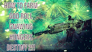 Gnawing Hunger God Roll PvP Build Destiny 2 [upl. by Eihcra]