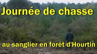 Journée de chasse au sanglier en forêt dHourtin [upl. by Seligmann]