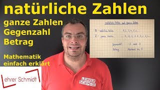 natürliche Zahlen amp ganze Zahlen  Mathematik  einfach erklärt  Lehrerschmidt [upl. by Ocsirf]