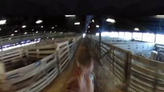 Kentucky Stockyards Pen Rider 360 Degrees [upl. by Desberg691]