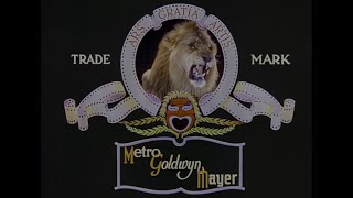 MetroGoldwynMayer Tanner the Lion logo 1952 in HDR [upl. by Misak]