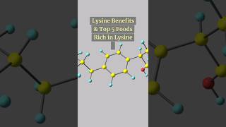 Lysine The Missing Nutrient You Need for Muscle amp Immunity [upl. by Trevor]