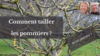 Comment tailler les pommiers et les poiriers [upl. by Bael]