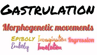 Gastrulation  Morphogenetic movements  Ingression  Involution  Epiboly  Delamination  Emboly [upl. by Nilam]