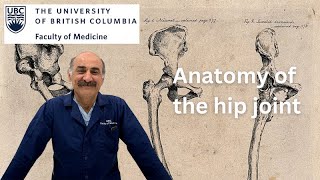 Anatomy of the Hip Joint [upl. by Elohcan]