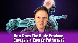 How Does The Body Produce Energy via Energy Pathways [upl. by Llorre919]