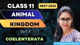 PHYLUM COELENTERATA  CNIDARIA  Animal kingdom L4  class 11  Neet 2025  Poonam Choudhary [upl. by Aneehsram]