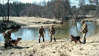 БОЕВИК КОНТРРАЗВЕДЧИКИ ИЩУТ ТАЙНИК С СЕКРЕТНЫМИ ДОКУМЕНТАМИ Смерш Лисья нора Русский фильм [upl. by Lemkul]