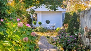 Dormant HYDRANGEAS Planted amp Other Planting Progress [upl. by Nilyak770]