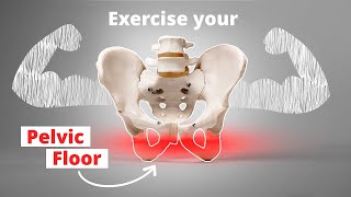 Exercise Your Pelvic Floor – Build Strength amp Coordination [upl. by Issi]