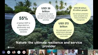 InsuResilience  Naturebased Solutions Workshop  Segment 2 Part 12 [upl. by Lraed684]