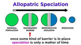 Types of Speciation Allopatric Sympatric Peripatric and Parapatric [upl. by Brazee]