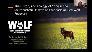 The History and Ecology of Canis in the Southeastern US with an Emphasis on Red Wolf Recovery [upl. by Liemaj649]