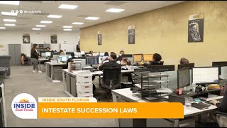 Understanding Intestate Succession Laws A Legal Breakdown from Demesmin amp Dover [upl. by Natalina]