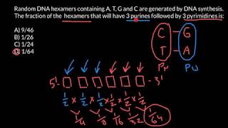 Hydrogen bonding in DNA  the number of hydrogen bond in DNA  Biochemistry [upl. by Neved]