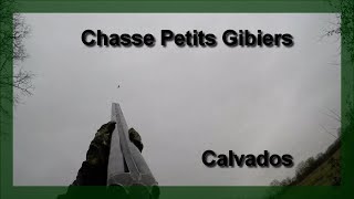 Chasse Petits Gibiers Hiver 20172018  Bécasse  Pigeon [upl. by Noslen]