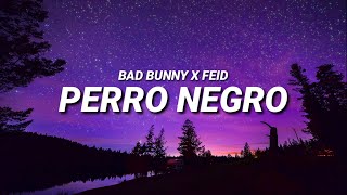 BAD BUNNY ft FEID  PERRO NEGRO Letra  Lyrics [upl. by Ccasi470]