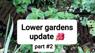 Garden update Im getting there 🤗🙈🤭 [upl. by Eddy]