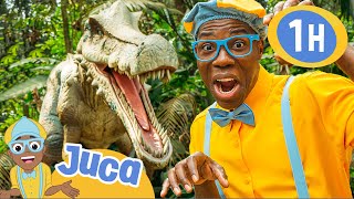 Juca Aprende TUDO Sobre Dinossauros  1 HORA DO JUCA BRASIL  Videos Educativos em Português [upl. by Eirruc]