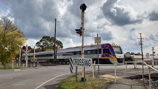 Nunn St Benalla Vic  ARTC Railway Crossing [upl. by Nylesoy207]