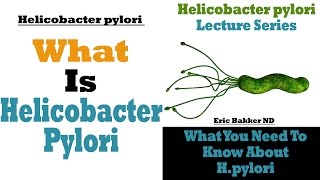 What Is Helicobacter Pylori [upl. by Vil]