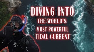 DIVING INTO THE WORLDS MOST DEADLY TIDAL CURRENT  DANGEROUS   Bodo Saltstraumen [upl. by Naras]