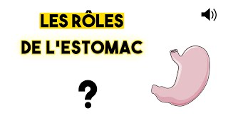 LESTOMAC  Anatomie et physiologie [upl. by Eillam]