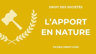 Lapport en nature définition typologie et évaluation [upl. by Eissak]