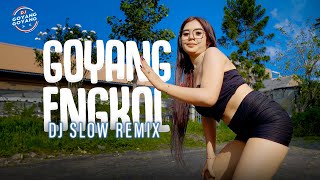 Goyang Engkol Remix  DJ Goyang Goyang  Nia Ramadhani [upl. by Alvera]