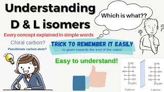 Understanding Disomer and Lisomer  Definition of Penultimate carbon atom and Chiral carbon atom [upl. by Idas]