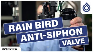 Rain Bird AntiSiphon Valve ASVF [upl. by Boony56]