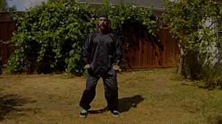 Cheng Man Ching Form First Tai Chi Ever Taught to Americans [upl. by Eseila]